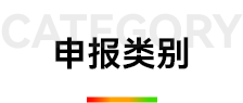 申报类别