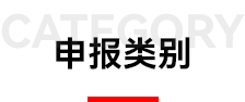 申报类别