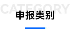 申报类别